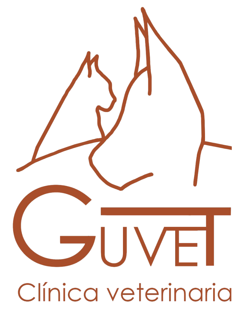 Clínica Veterinaria en Santa Coma Guvet